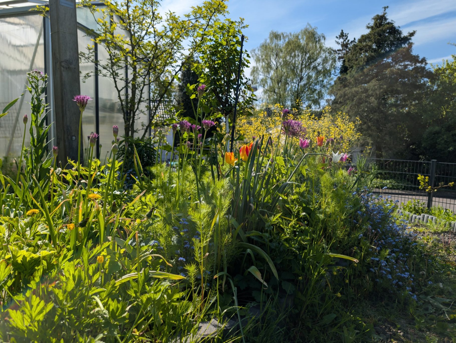 April 2026 - der Frühling kommt